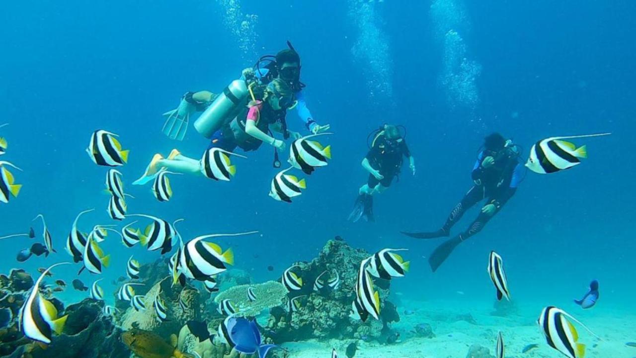 Sunia Loka Bungalows & Dive Center Pemuteran Esterno foto