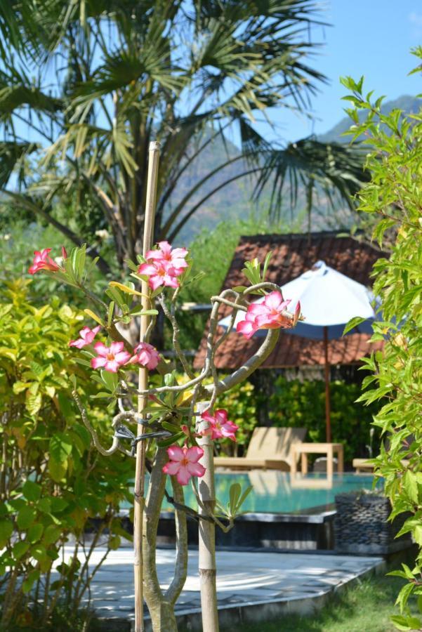 Sunia Loka Bungalows & Dive Center Pemuteran Esterno foto
