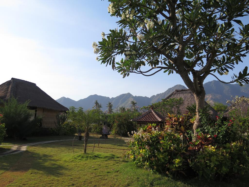 Sunia Loka Bungalows & Dive Center Pemuteran Esterno foto